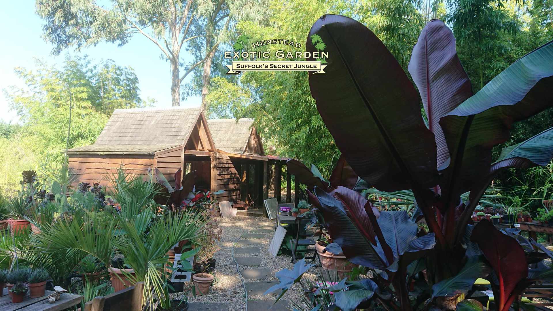 lorem ipsum dolor sit