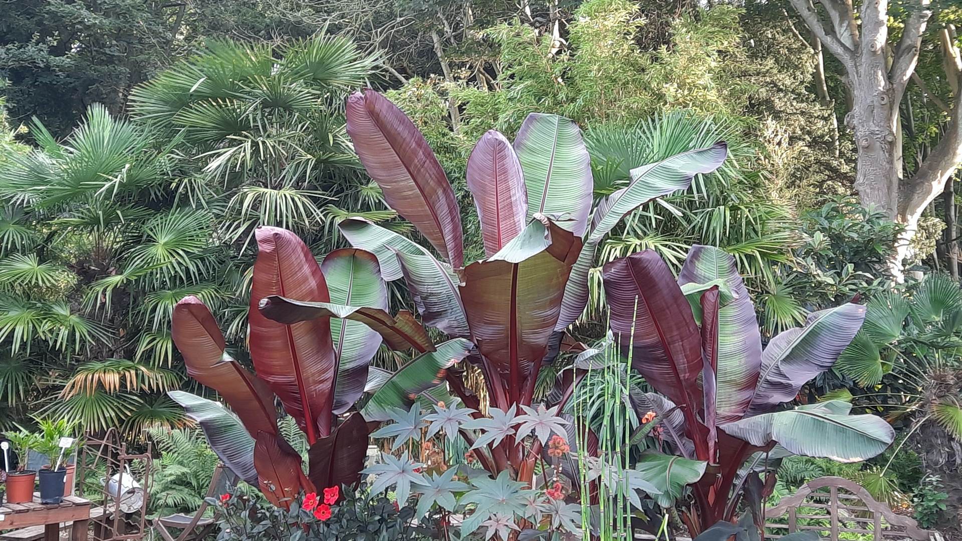 lorem ipsum dolor sit